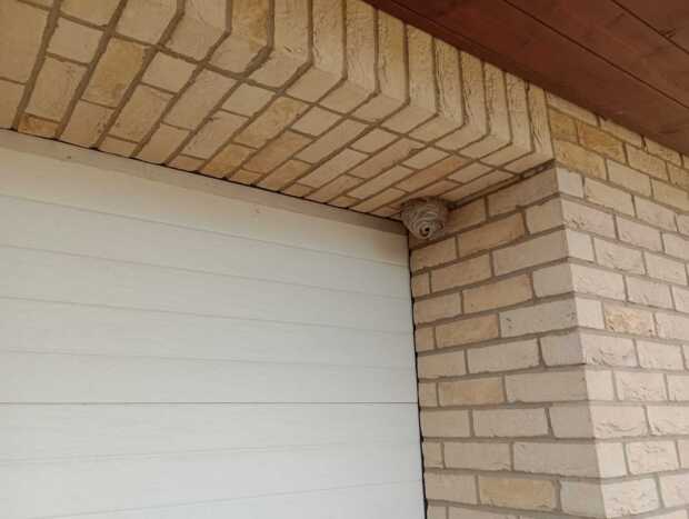 07: Vosí hnízdo na rodinné domě