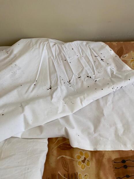 02: Štěnic na povlečení