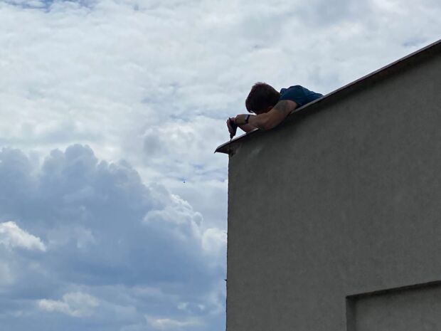 08: Likvidace vosího hnízda