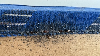 Štěnice na nábytku