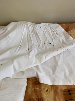 Štěnic na povlečení