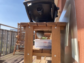 Vosí hnízdo na terase